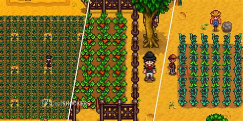 stardew valley best crops.